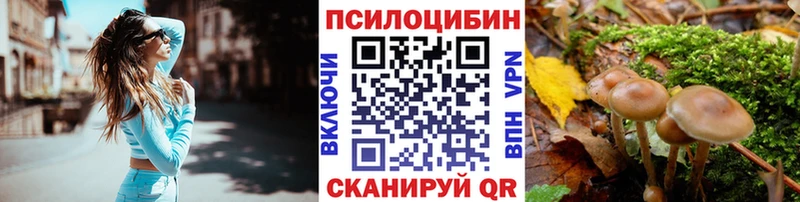 наркошоп  Сясьстрой  Псилоцибиновые грибы MAGIC MUSHROOMS 