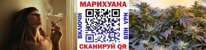 закладки  Сясьстрой  mega ССЫЛКА  Шишки марихуана конопля 